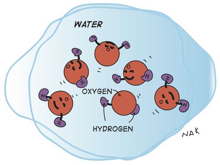 water molecules